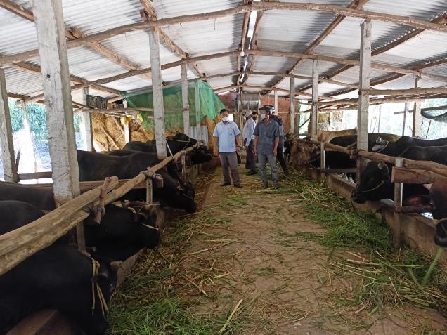 Hội nông dân huyện Sơn Tịnh thực hiện tốt công tác Hội và phong trào nông dân