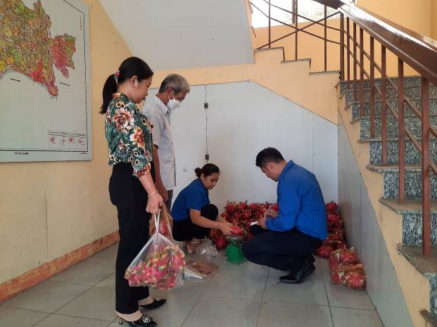 Huyện Đoàn Sơn Tịnh hỗ trợ tiêu thụ gần 1 tấn thanh long cho nông dân tỉnh Bình Thuận