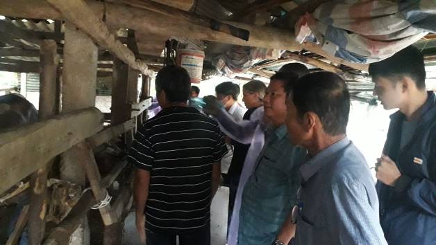 Trường đại học Nông lâm Huế tham quan mô hình chăn nuôi bò tại xã Tịnh Giang