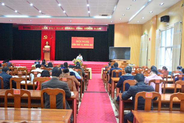 Huyện ủy Sơn Tịnh tổ chức Hội nghị lần thứ 12, khóa XIX