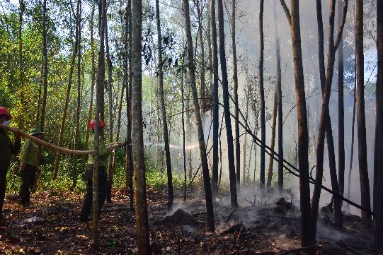 Diễn tập chữa cháy rừng cấp xã năm 2023 tại Tịnh Trà