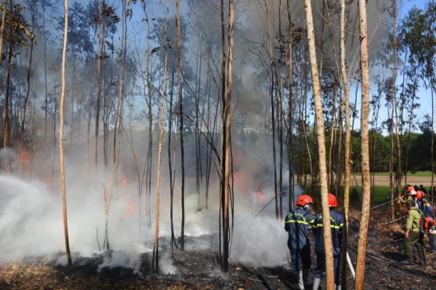 Sơn Tịnh diễn tập phòng cháy chữa cháy rừng năm 2020 tại xã Tịnh Phong