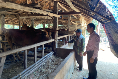 Hội Cựu Chiến binh huyện thực hiện tốt công tác ủy thác với Ngân hàng Chính sách xã hội huyện về vay vốn tín dụng ưu đãi