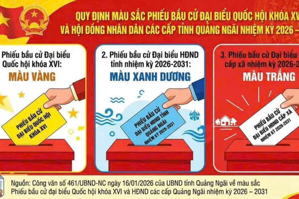 Quy định màu sắc phiếu bầu cử đại biểu Quốc hội khóa XVI và Hội đồng nhân dân các cấp tỉnh Quảng Ngãi, nhiệm kỳ 2026 – 2031.